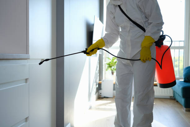 Best Mold Remediation  in Magnolia, AR